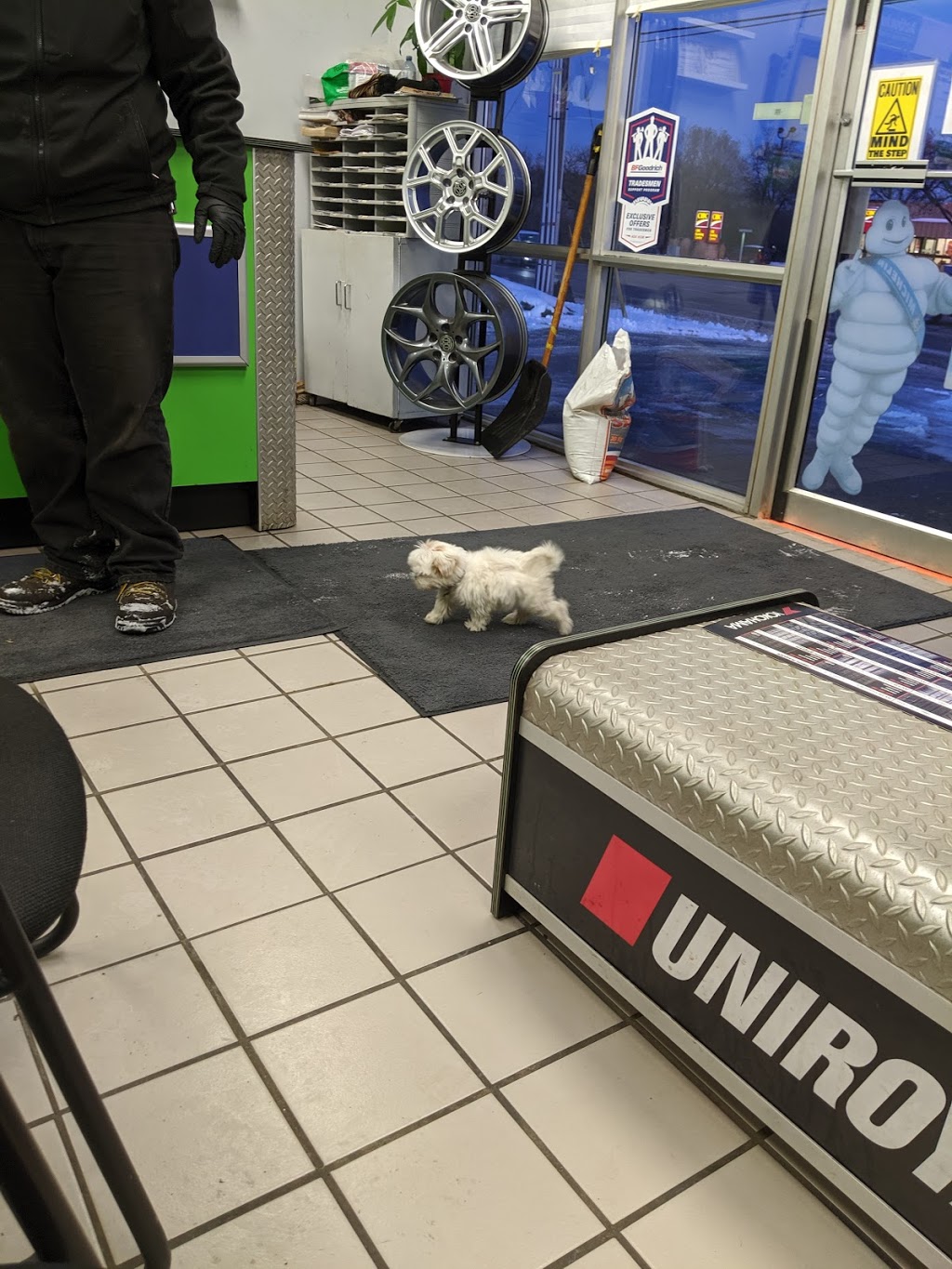 Active Green+Ross Tire & Automotive Centre | 667 Fourth Line (at, Speers Rd, Oakville, ON L6L 5B5, Canada | Phone: (905) 842-8520