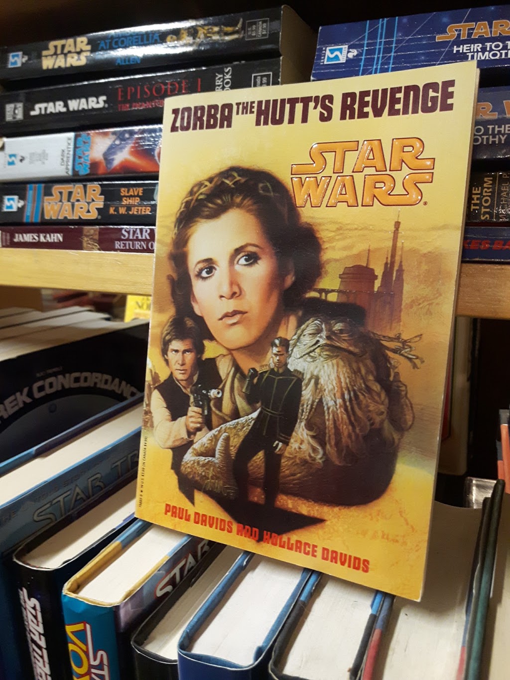 Bridgeburg Books | 16 Jarvis St, Fort Erie, ON L2A 2S1, Canada | Phone: (905) 871-8484