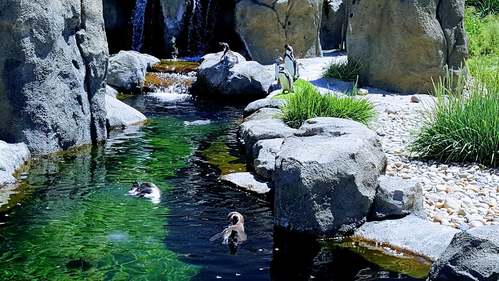 Bottomlands Park | 8248 32 Ave NE, Calgary, AB T2E 5G1, Canada | Phone: (403) 268-2489