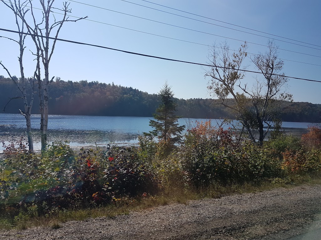 Algonquin Bound Outfitters & Inn | 5280 ON-60, Dwight, ON P0A 1H0, Canada | Phone: (613) 637-5508