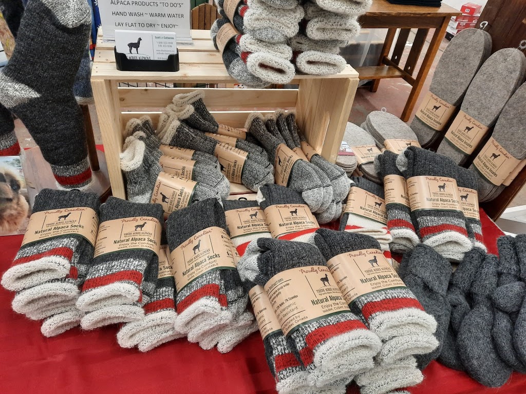 Paisley Christmas Market | 266 Church St, Paisley, ON N0G 2N0, Canada | Phone: (519) 379-7284