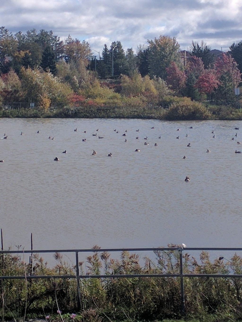 Toll Bar Park | Richmond Hill, ON L4C 9M1, Canada