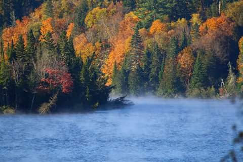 Parc du Moulin | 1953-2233 Route Ducharme, Saint-Roch-de-Mékinac, QC G0X 2E0, Canada