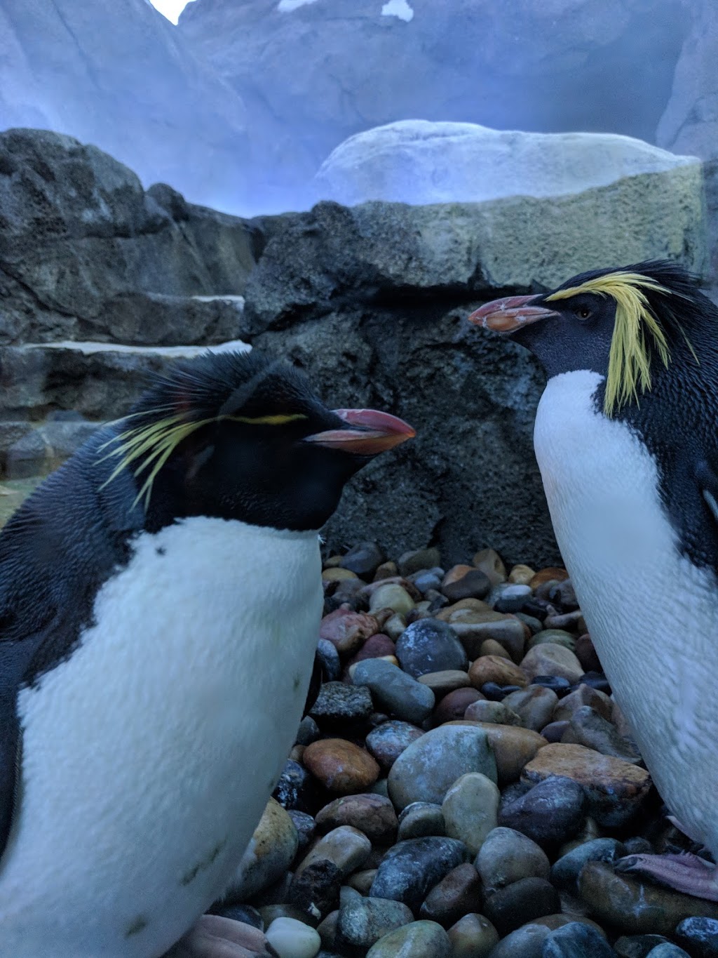 Calgary Zoo | 210 St. Georges Drive NE, Calgary, AB T2E 7V6, Canada | Phone: (403) 232-9300