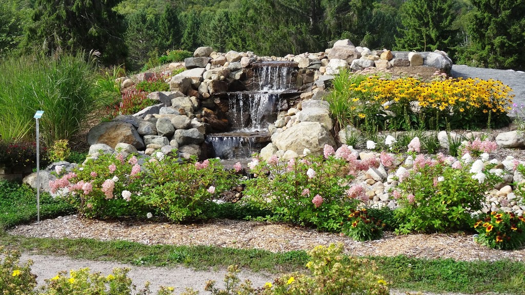 oiseaux au Domaine Saint-Bernard Garden | 539 Chemin St Bernard, Mont-Tremblant, QC J8E 1T4, Canada | Phone: (819) 425-3588