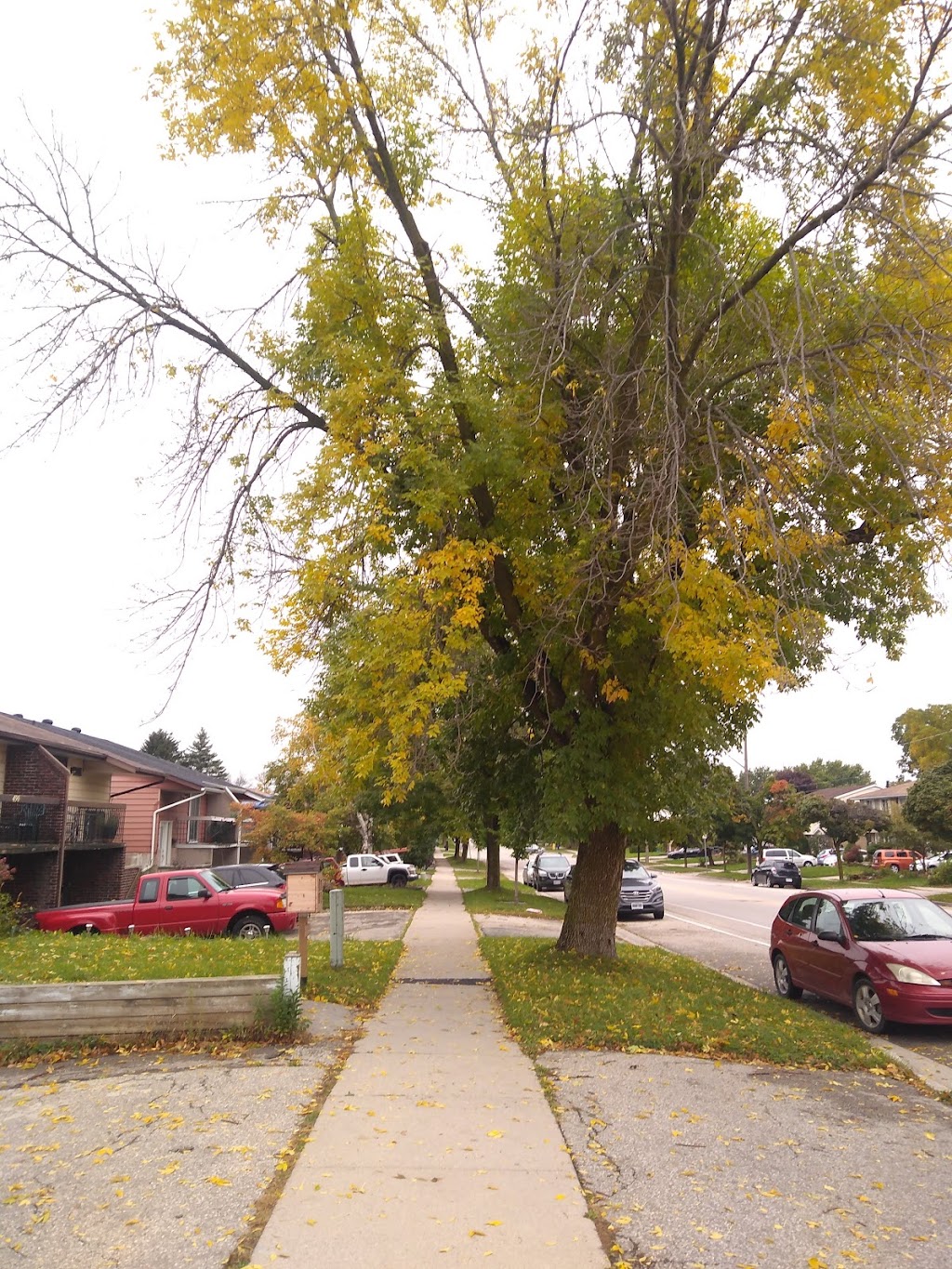 Newport Towers | 550 Strasburg Rd, Kitchener, ON N2E 2G9, Canada | Phone: (519) 748-8943