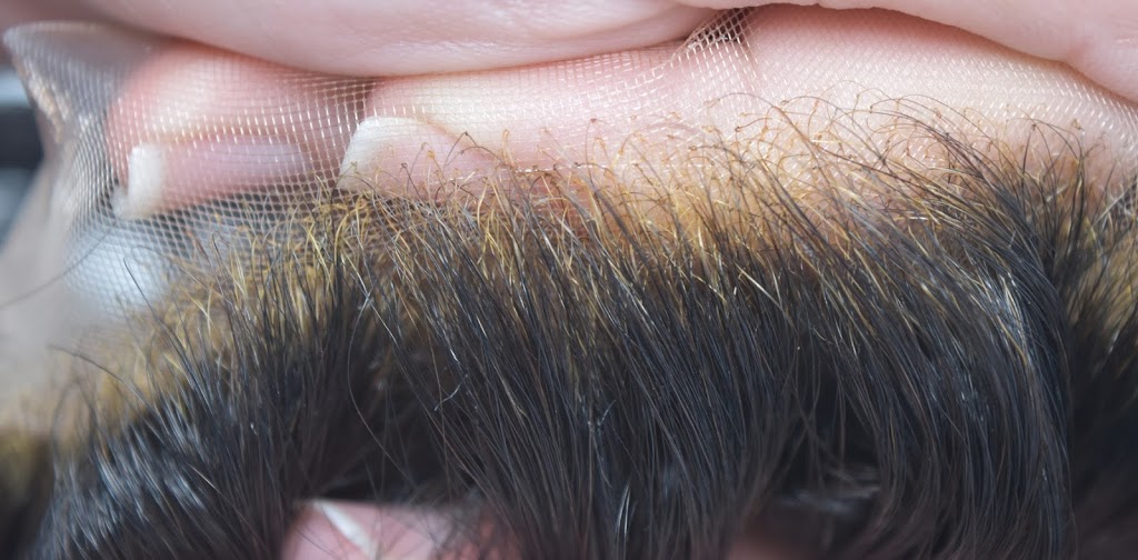 Superhairpieces | 215 Traders Blvd E Unit 17, Mississauga, ON L4Z 3K5, Canada | Phone: (866) 814-7879