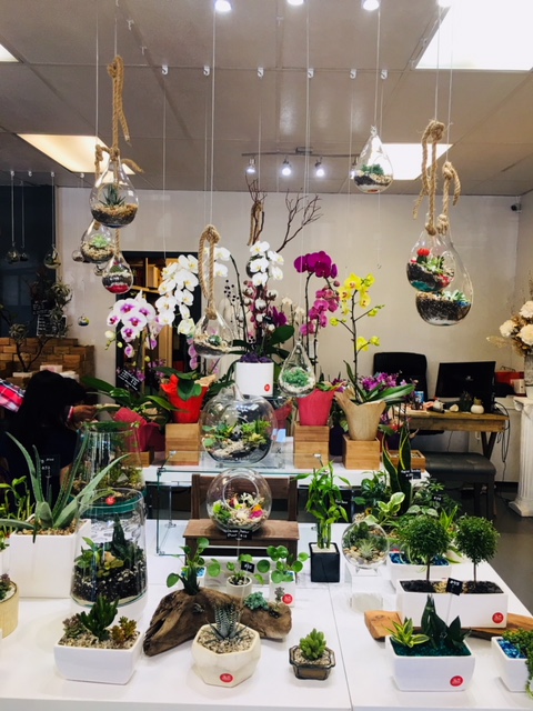 The Heart Company | 3830 Sunset St, Burnaby, BC V5G 1T3, Canada | Phone: (604) 435-2495