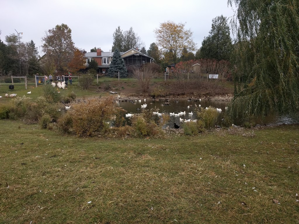 Harrington Lane Farms | Flamborough, Hamilton, ON N0B 2J0, Canada | Phone: (289) 895-8000