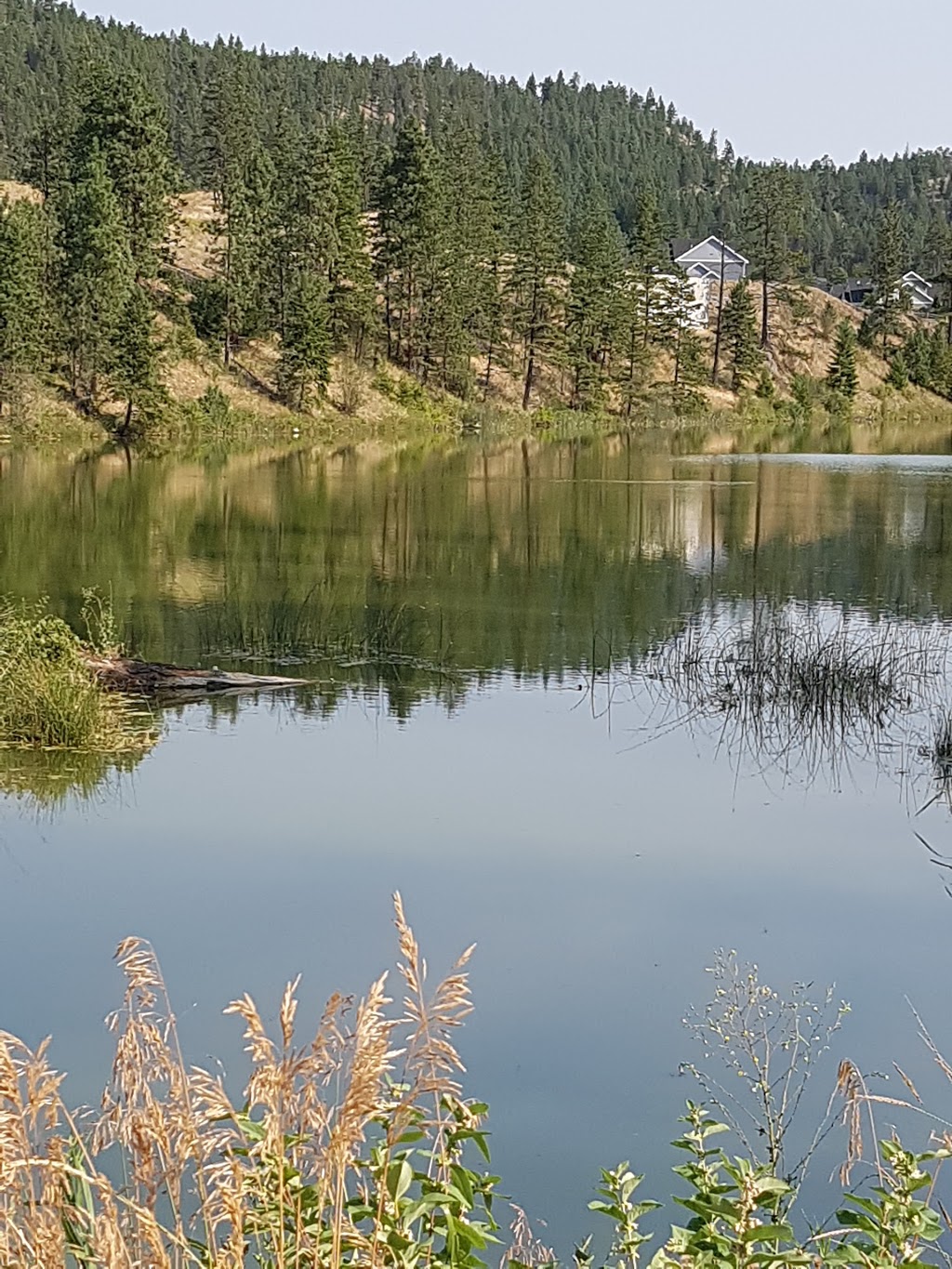 Still Pond Park | 550 Still Pond Pl, Kelowna, BC V1V, Canada