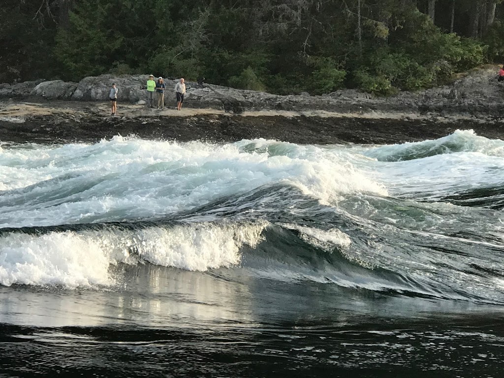 Skookumchuck Boat Tours | 6771 Egmont Rd, Egmont, BC V0N 1N0, Canada | Phone: (604) 883-2066