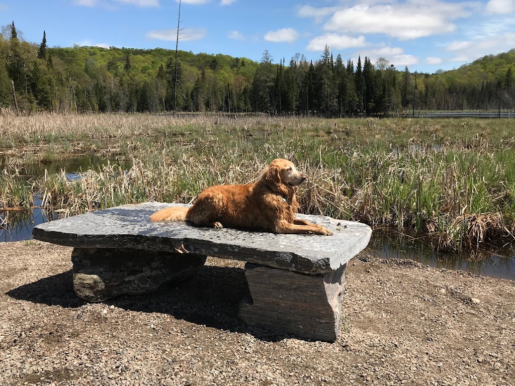 Haliburton County Rail Trail | Haliburton County Rail Trail, Haliburton, ON K0M, Canada | Phone: (705) 286-1762