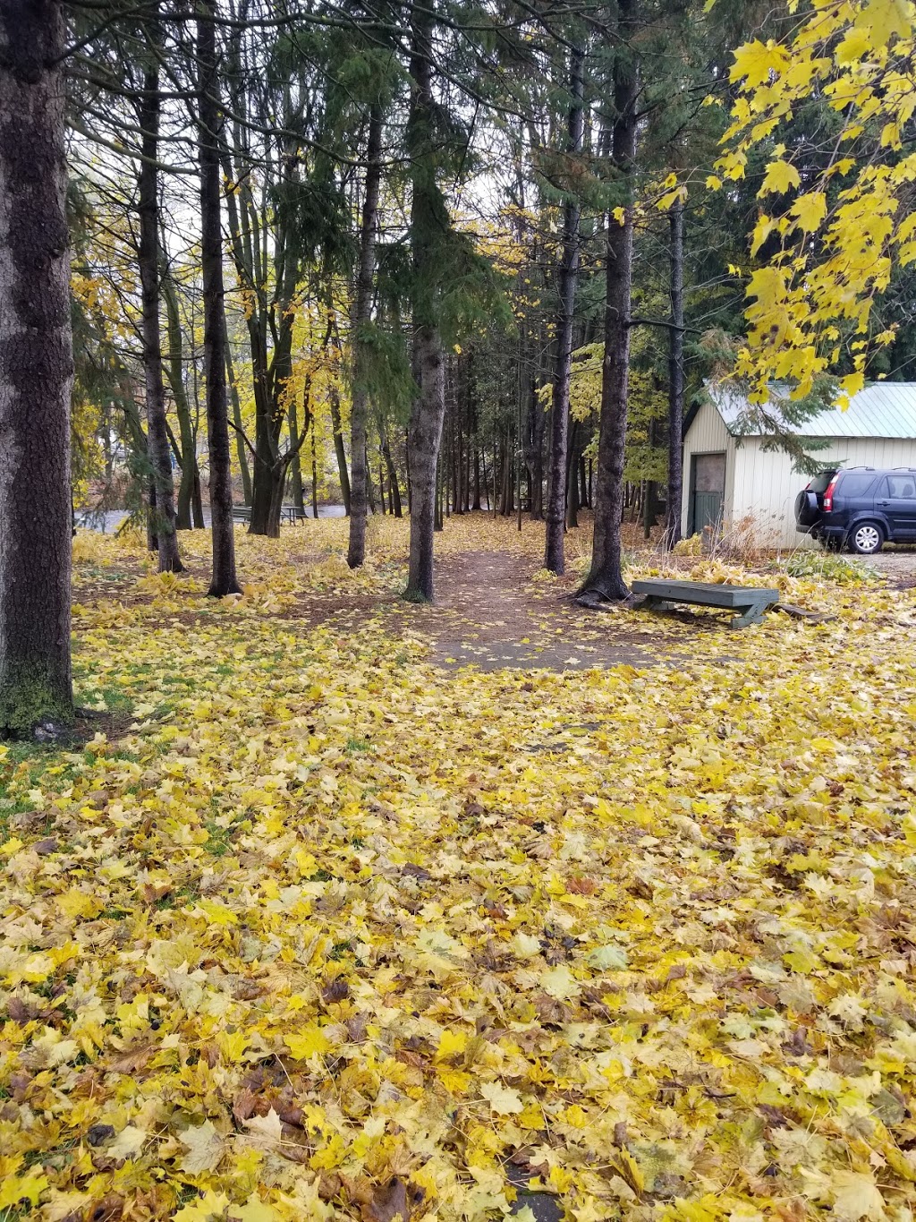 Vickers Park | 178 Lambton St W, Durham, ON N0G 1R0, Canada