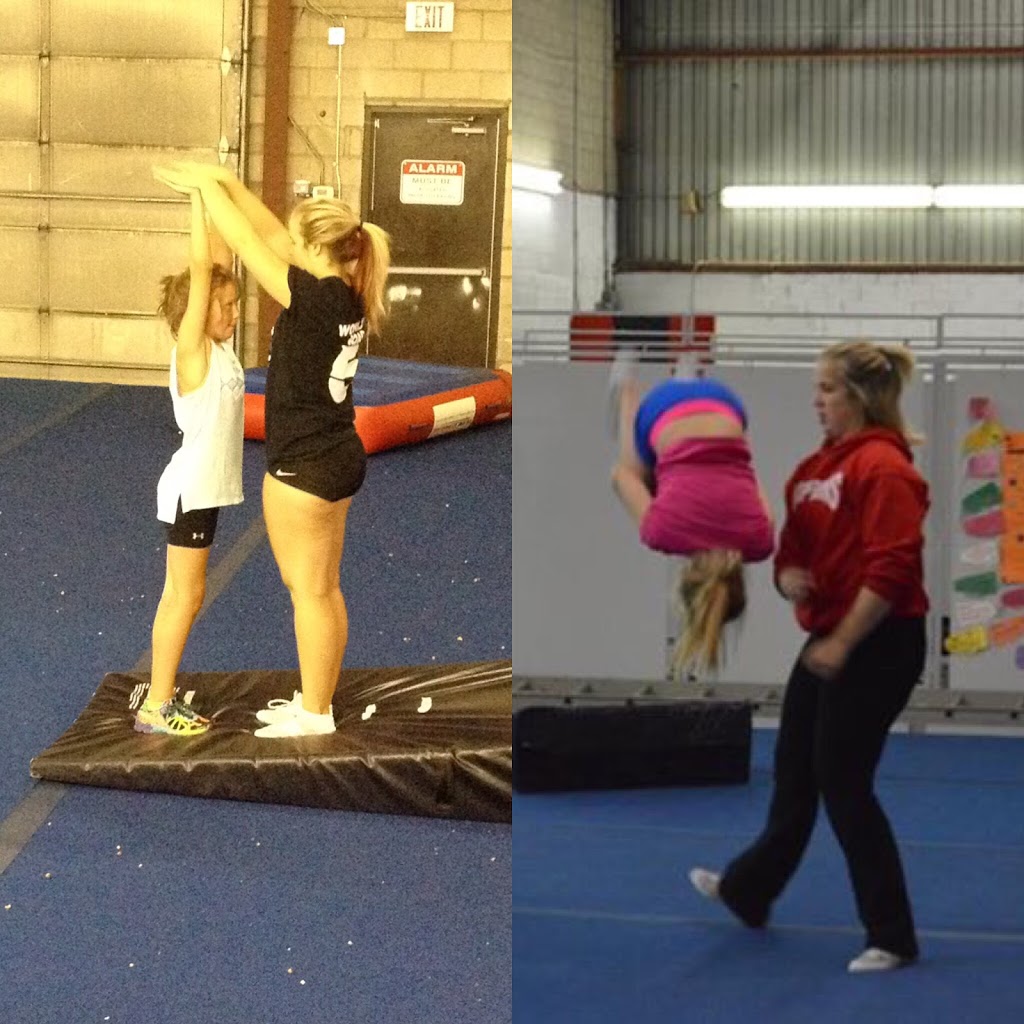 Scorpions Niagara Cheerleading | 296 Collier Rd S #2, Thorold, ON L2V 6G7, Canada | Phone: (289) 407-3005