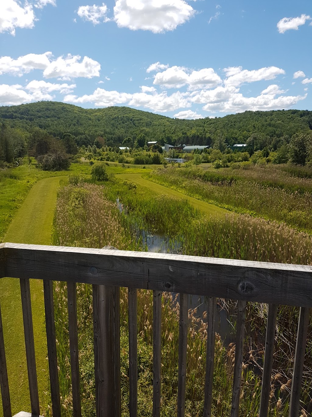 Parc Decouverte Nature | 2471 Chemin de Baldwin Mills-Barnston, Coaticook, QC J1A 2S4, Canada | Phone: (819) 849-2677