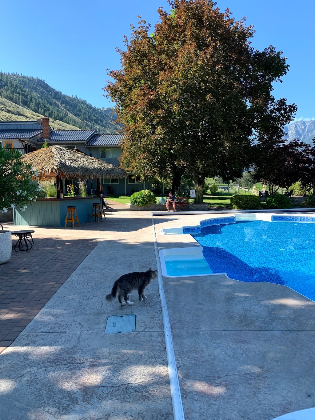 Similkameen WILD Resort Winery and Adventure Centre | 306 Sumac Rd, Cawston, BC V0X 1C3, Canada | Phone: (604) 807-5659