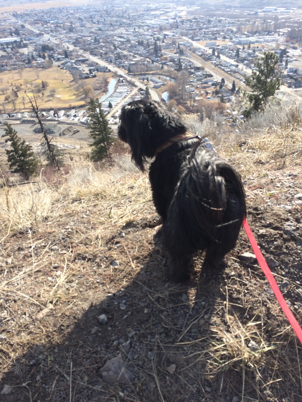 Tom Lacey Trail | Merritt, BC V1K 1J5, Canada | Phone: (250) 280-6590
