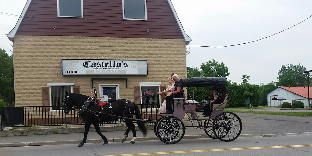 Castellos Pizza and Licensed Restaurant | 1223 Colonial Rd, Navan, ON K4B 1N2, Canada | Phone: (613) 835-3835