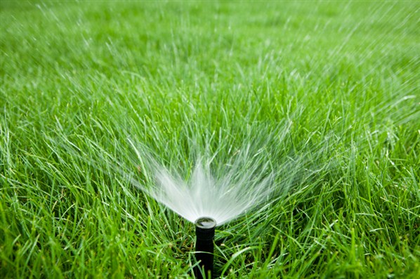 Greendland Turf | 1553 Hyde Park Rd, London, ON N6H 5L5, Canada | Phone: (519) 439-0220