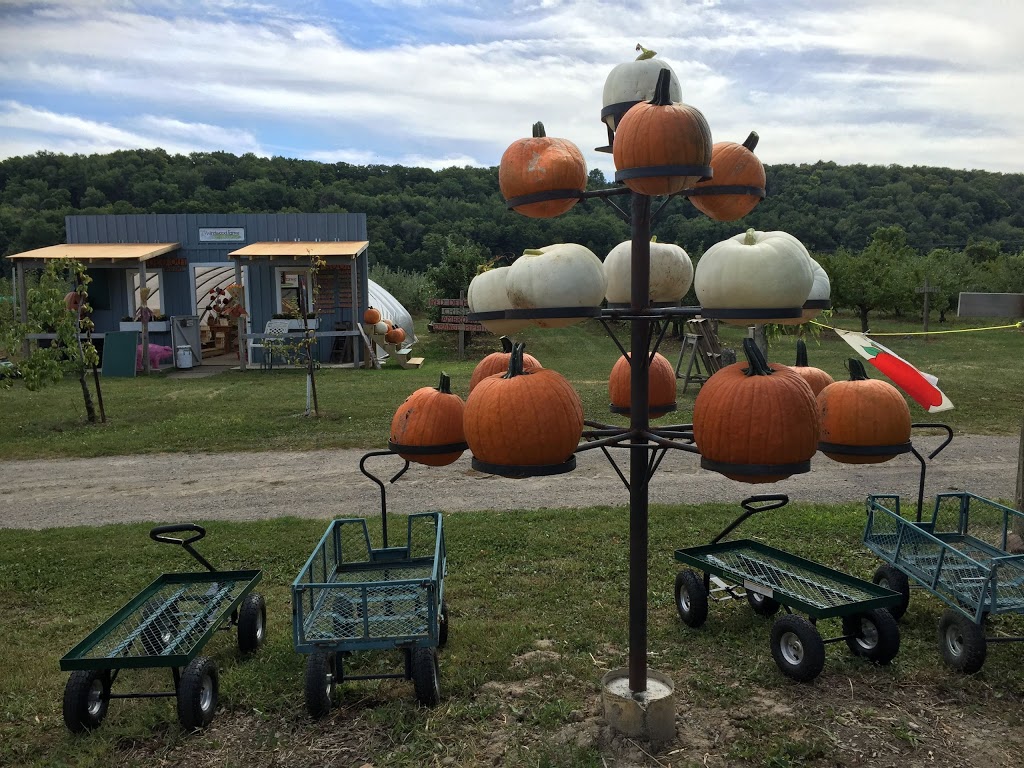 Windwood Farms | 4198 King St, Beamsville, ON L0R 1B1, Canada | Phone: (905) 401-0515
