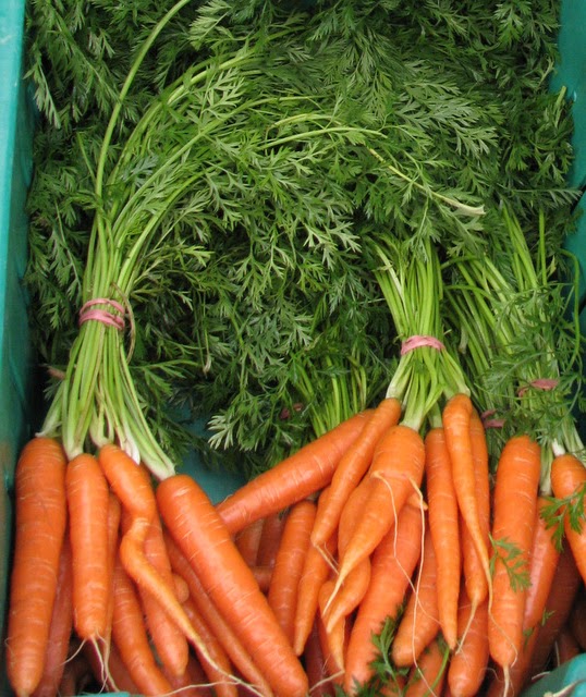 Wild Flight Farm | 205 Rosemond Lake Rd, Mara, BC V0E 2K0, Canada | Phone: (250) 838-7447