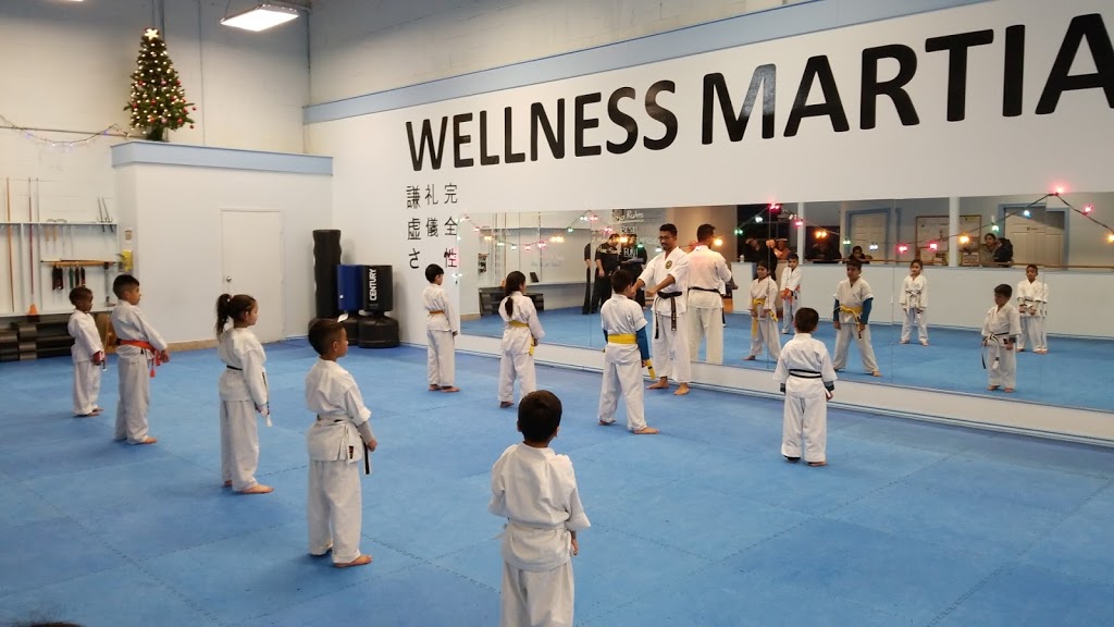 Wellness Martial Arts | 2131 Williams Pkwy Unit #2, Brampton, ON L6S 5Z4, Canada | Phone: (905) 790-3382