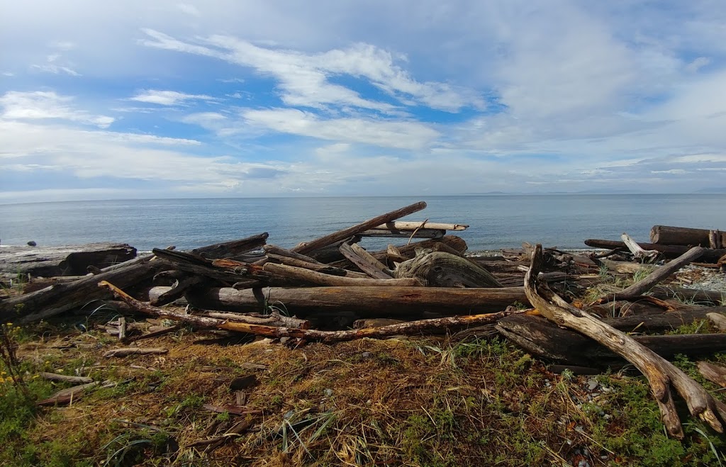 Beach Access Parking | 2699 W Beach Rd, Oak Harbor, WA 98277, USA