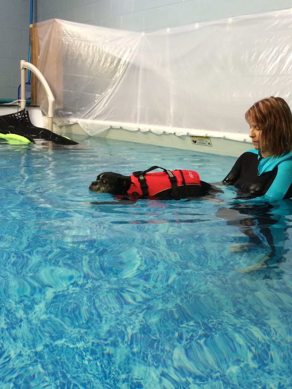 Niagara Canine Conditioning Centre | 5A-188 Bunting Rd, St. Catharines, ON L2M 3Y1, Canada | Phone: (289) 362-5900