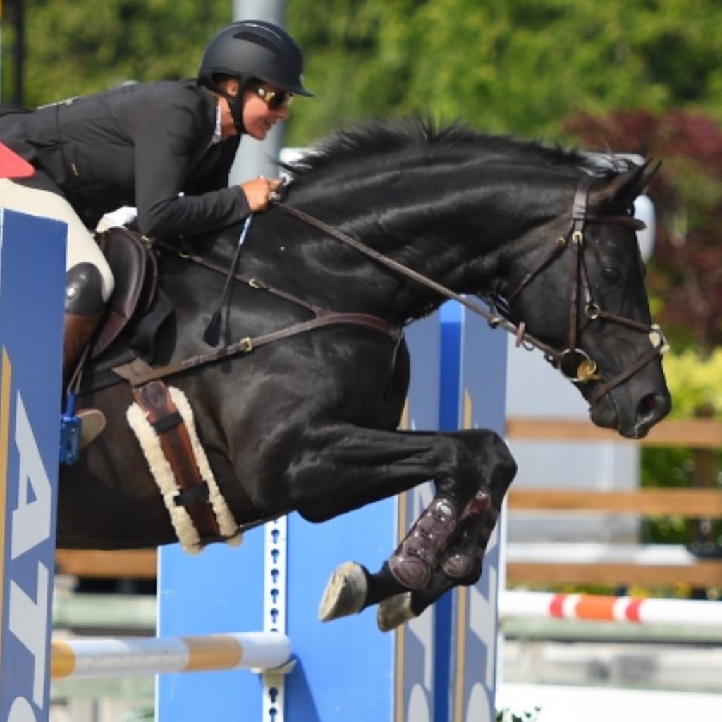 Pinecrest Stables | 7025 Macdonald St, Vancouver, BC V6N 1G2, Canada | Phone: (604) 220-2170