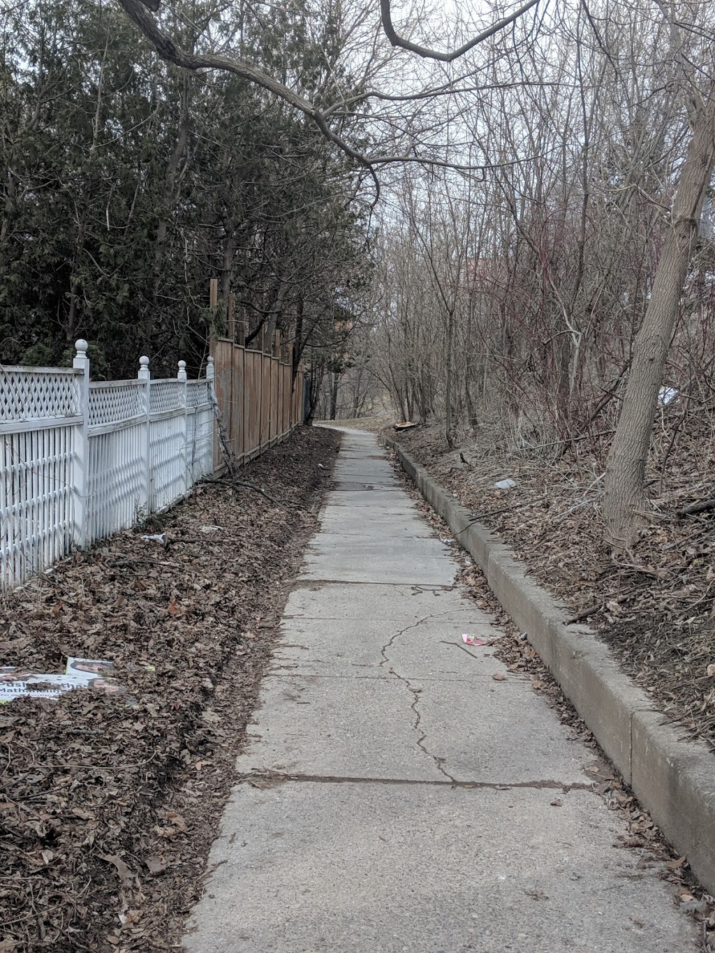 Mallow Park | 8 Mallow Rd, North York, ON M3B 2Z1, Canada