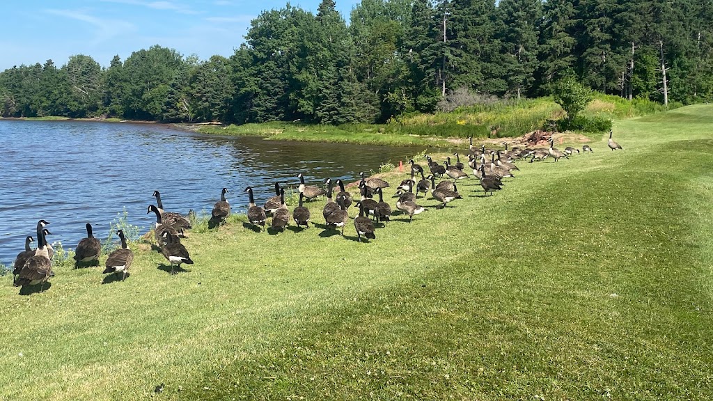 Brudenell River Golf Course | Prince Edward Island C0A 1L0, Canada | Phone: (800) 235-8909