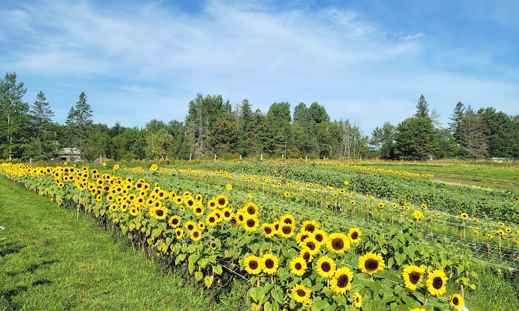 Happy Acres Farm Muskoka | Town of, Utterson, ON P0B 1M0, Canada | Phone: (705) 230-4234
