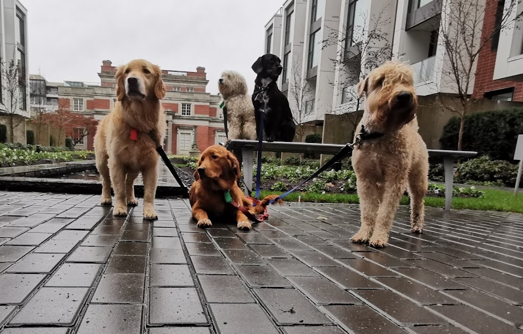 Marpole Dog Walking & Boarding Service | 7210 Hudson St, Vancouver, BC V6P 6J6, Canada | Phone: (604) 809-1761