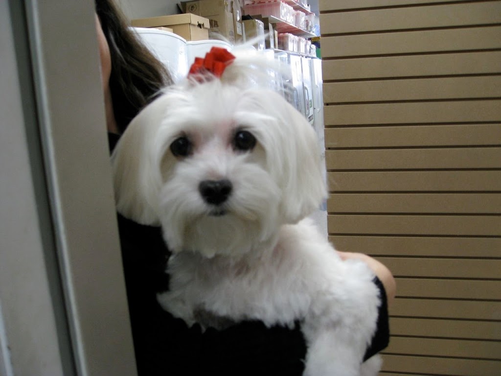 Wags n Whiskers | 3550 Dundas St, Burlington, ON L7M 4B8, Canada | Phone: (905) 616-0025