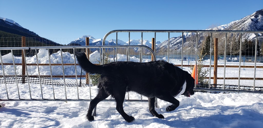 Banff Off-Leash Dog Park | Hawk Ave, Banff, AB T1L, Canada | Phone: (403) 762-1240