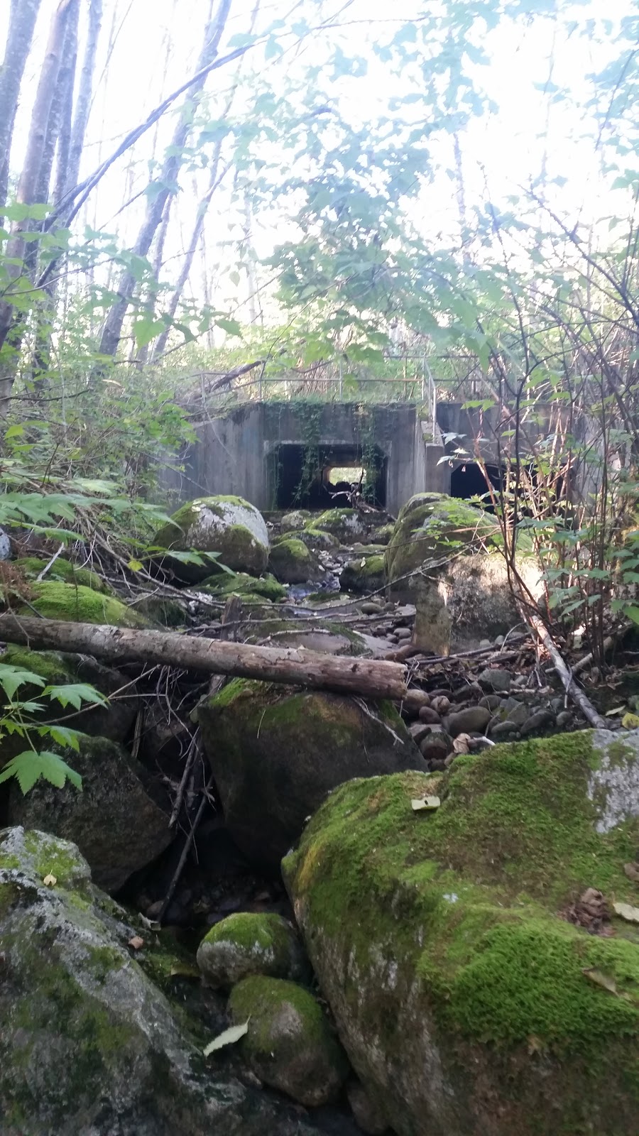 Noons Creek Park | 2500 Panorama Dr, Port Moody, BC V3H 5M3, Canada | Phone: (604) 927-3000
