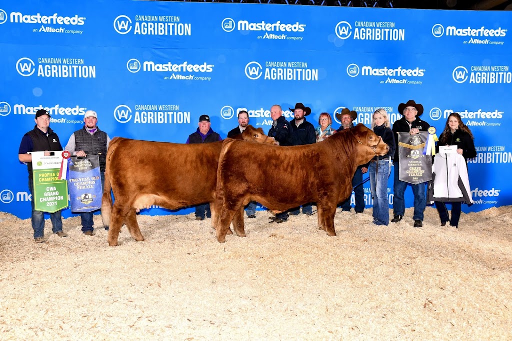 JK Fraser Cattle | 274129 Range Road 33, AB T4C 2Y2, Canada | Phone: (403) 932-2406