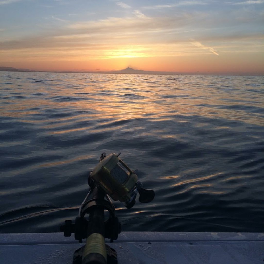 Spring Roll Sportfishing | 6507 N Rd, Duncan, BC V9L 6K9, Canada | Phone: (250) 510-8448