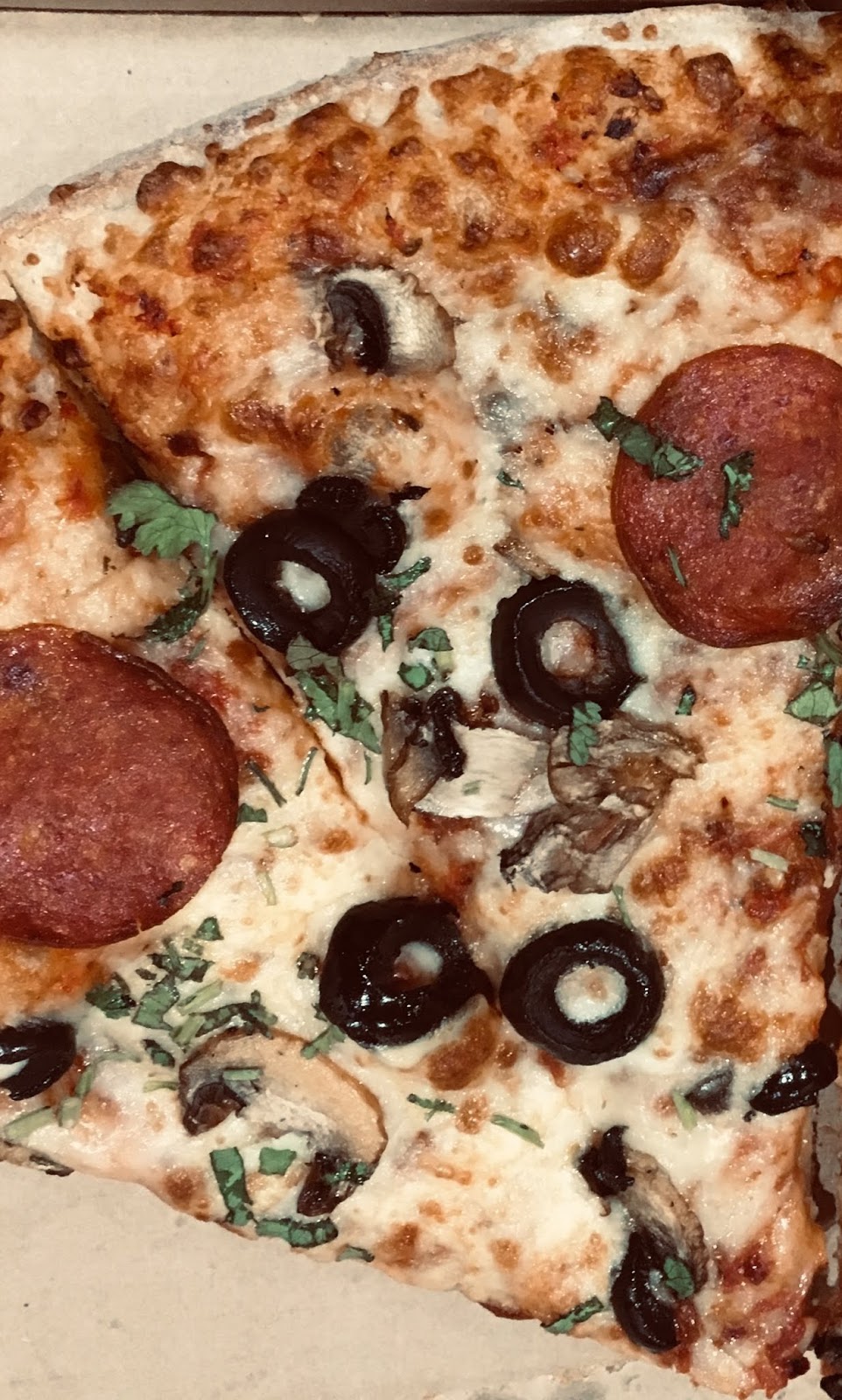 Canada Pizza Corner | 10 Dewside Dr unit 15, Brampton, ON L6R 3Y3, Canada | Phone: (905) 799-8282
