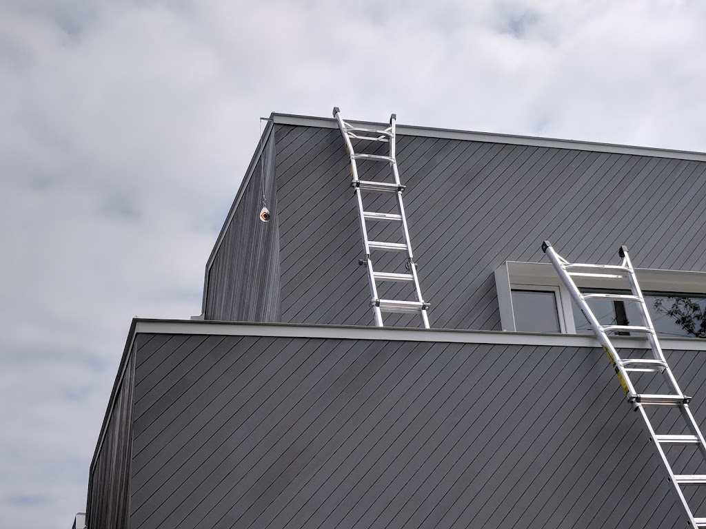 All Green Pest Control Ltd. | 7228 Winston St #2, Burnaby, BC V5A 2G9, Canada | Phone: (604) 990-0100