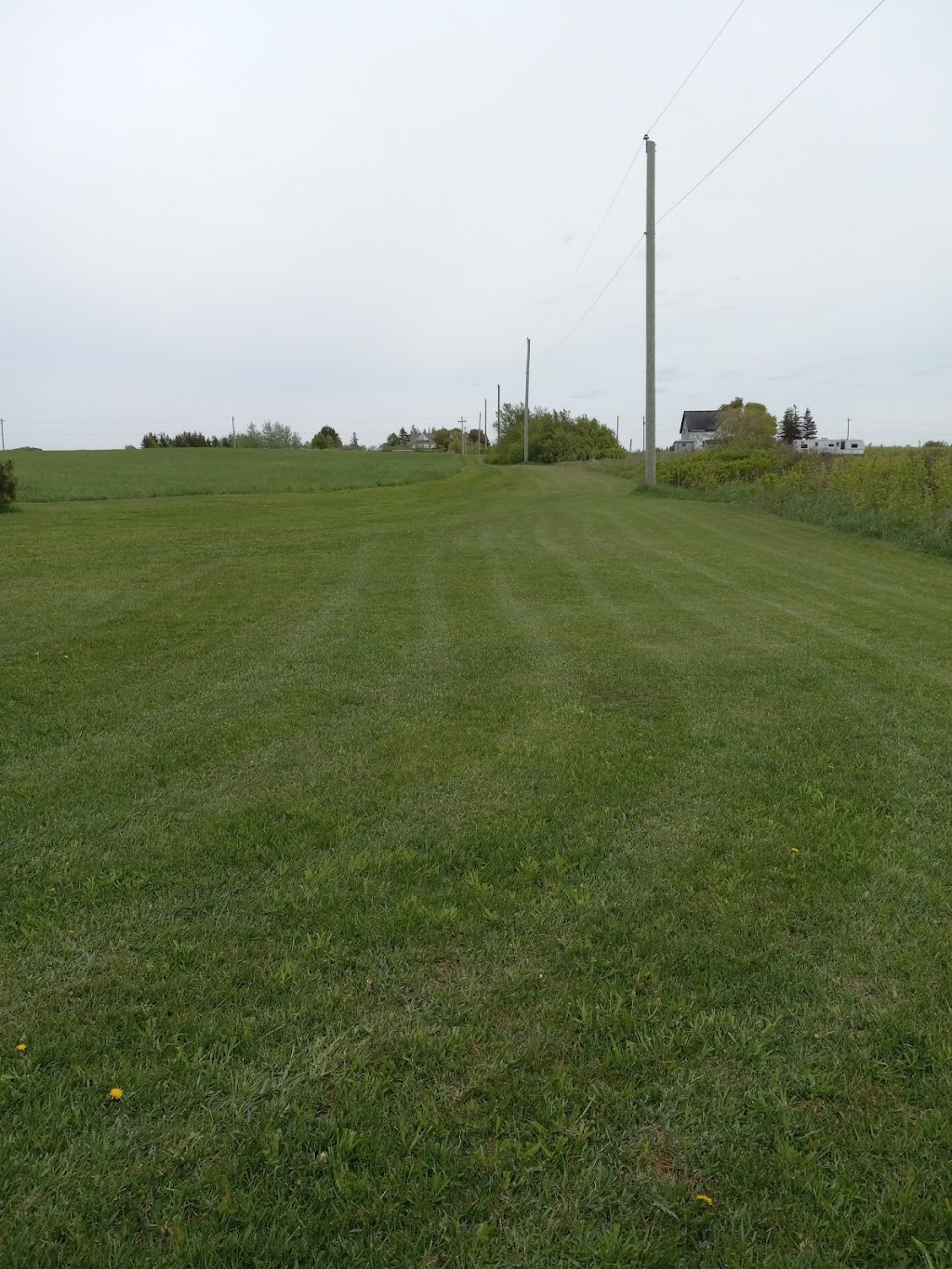 Bassetts Property Management Inc. | 30 Cameron Ave, Summerside, PE C1N 6P8, Canada | Phone: (902) 393-3079