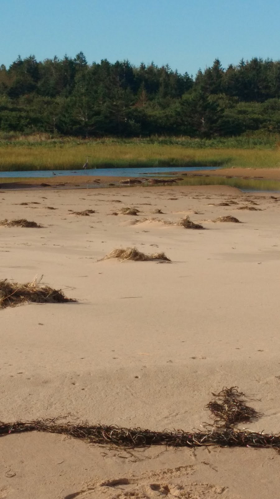 Dune-Spirit Cottages | 57 Mayflower Ct, Morell, PE C0A 1S0, Canada | Phone: (902) 675-3784
