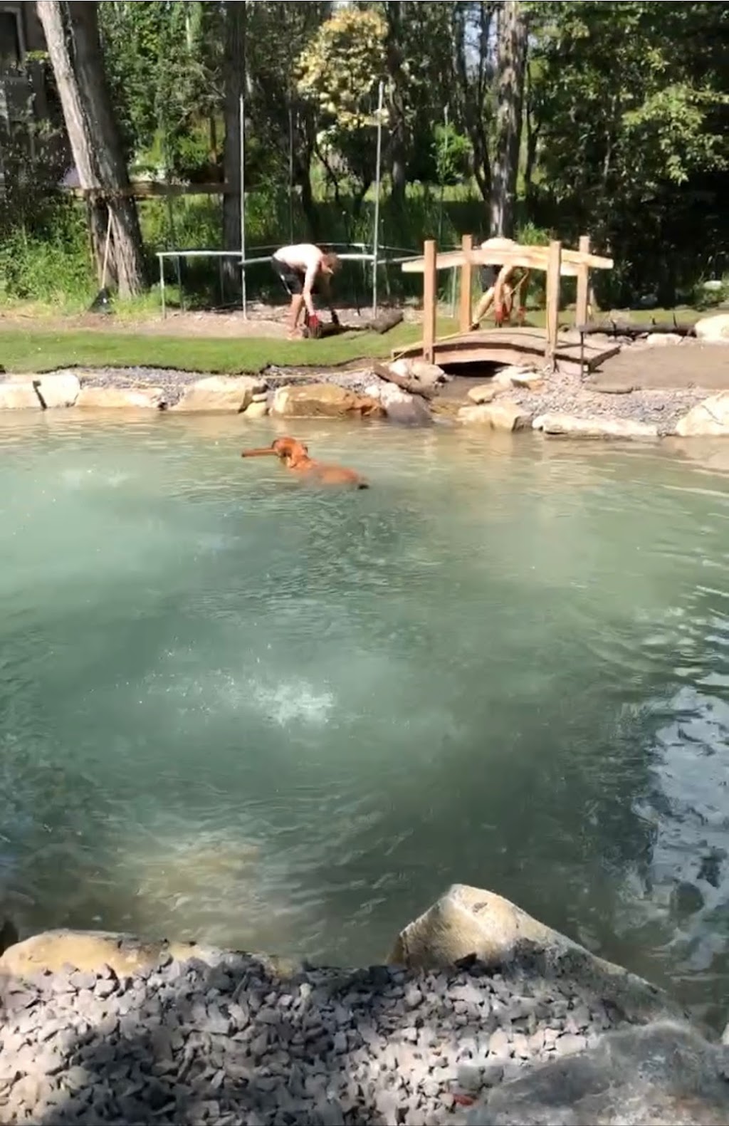 Waterrock Landscapes Inc | 1791 Galvin Pl, Qualicum Beach, BC V9K 2V3, Canada | Phone: (250) 268-7663