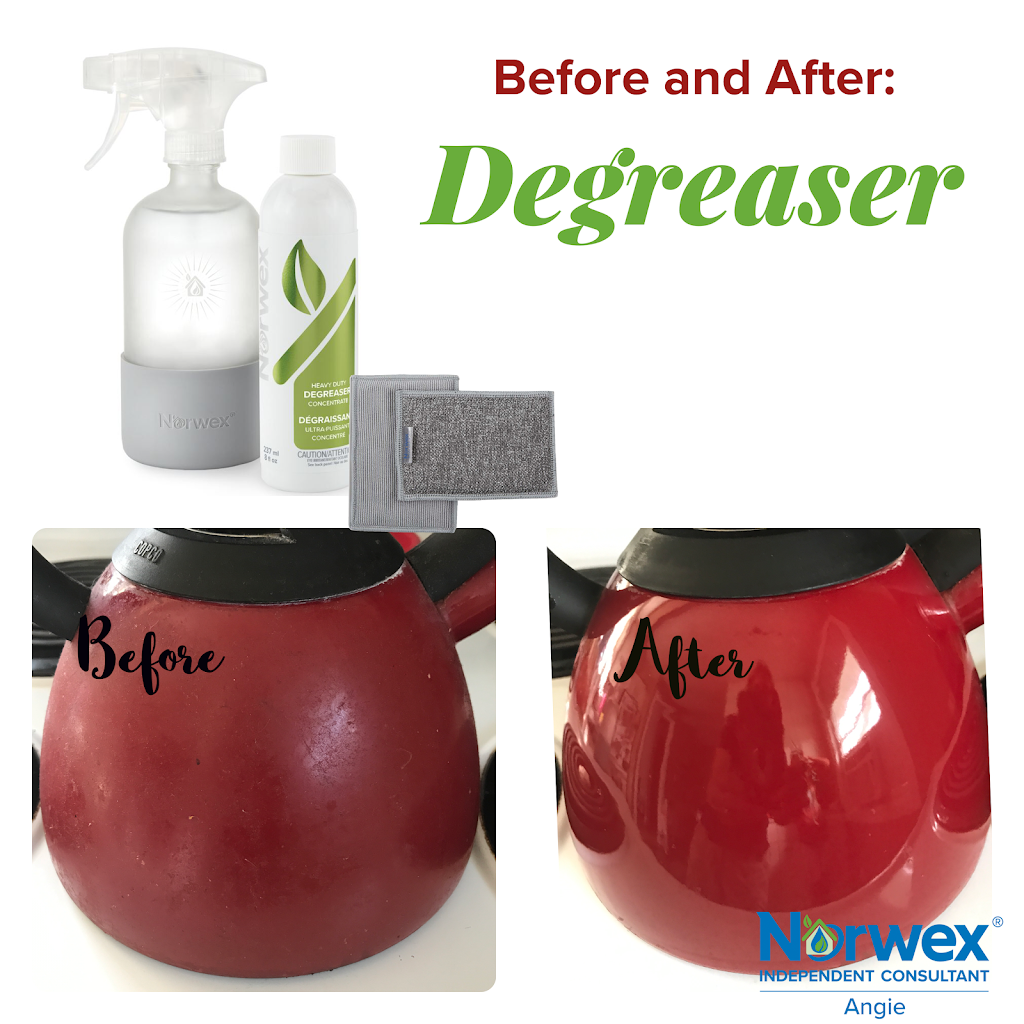 Norwex Indep. Consultant-Angie Bechtel | 450 Countess St S, Durham, ON N0G 1R0, Canada | Phone: (226) 210-3705