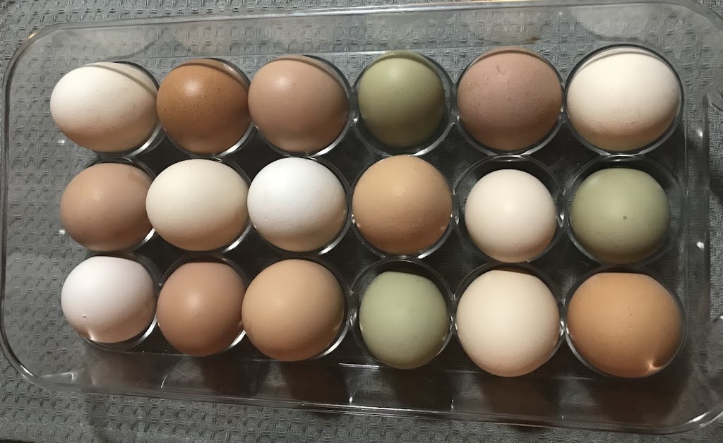 Heritage Life Farm | 1144 N Range Crossing Rd, Barton, NS B0W 1H0, Canada | Phone: (902) 972-1140