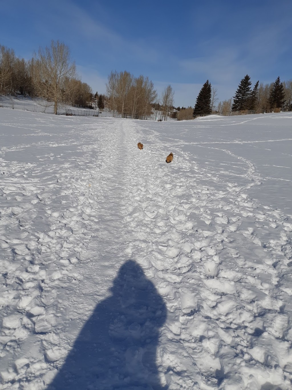 Highland Valley Park | Highland Park, Calgary, AB T2K 6K8, Canada | Phone: (403) 268-2489