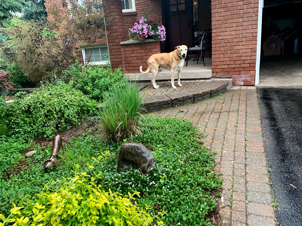 ClearKut Landscaping & Home Services | 13442a 22 Sd Rd, Georgetown, ON L7G 4S4, Canada | Phone: (416) 617-7469
