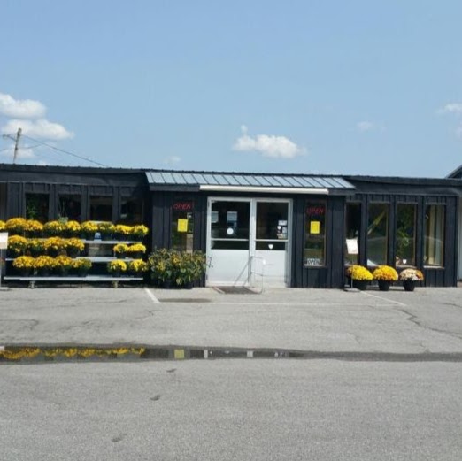 Freskiws | 10711 ON-12, Coldwater, ON L0K 1E0, Canada | Phone: (705) 835-3207
