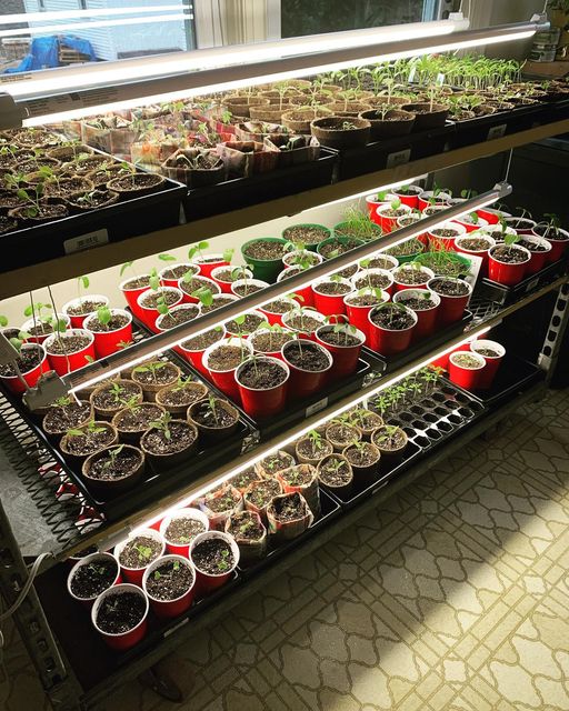 Blue Bike Farm | 5058 NS-12, New Ross, NS B0J 2M0, Canada | Phone: (902) 689-2555