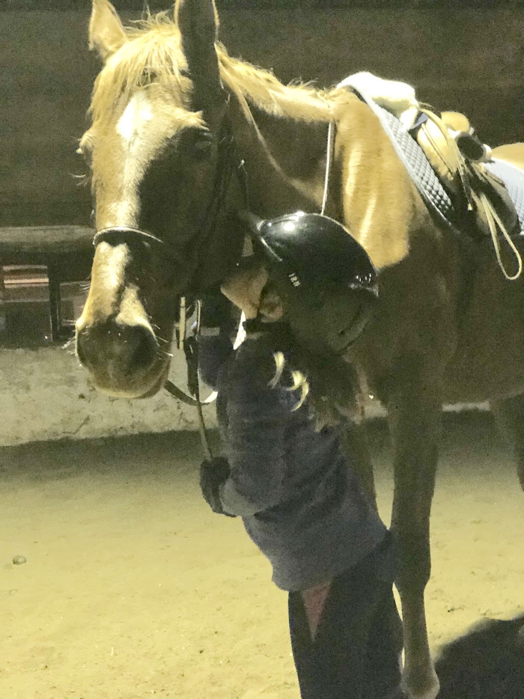 Destiny Equestrian Complex | 4088 5th Line, Innisfil, ON L9S 3L4, Canada | Phone: (416) 566-3741
